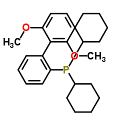 2-双环己基膦-2',6'-二甲氧基联苯