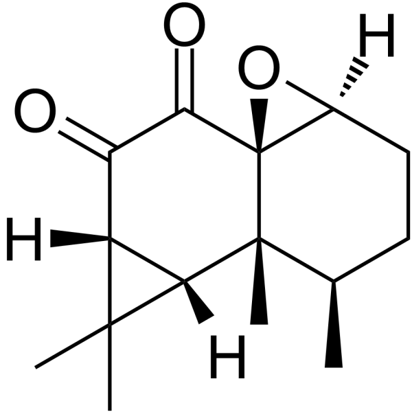 Kanshone C