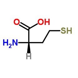 L-高半胱氨酸