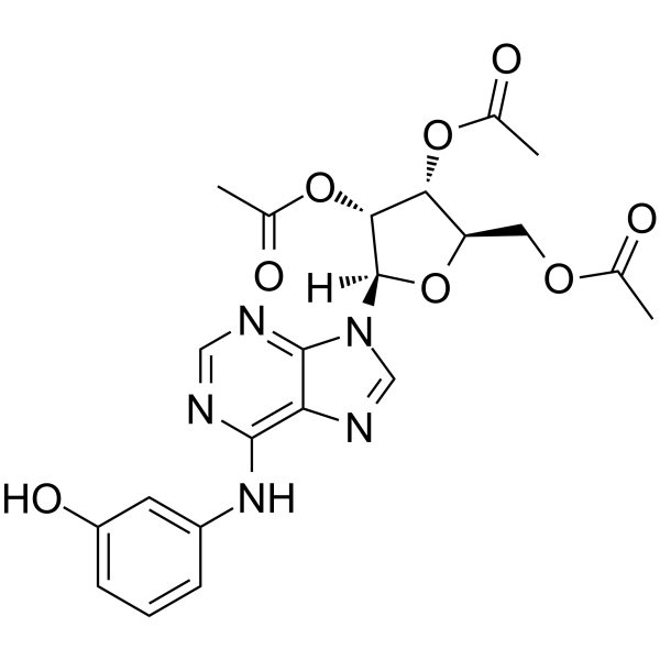 IMM-H007