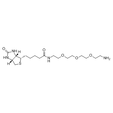 生物素-PEG3-胺