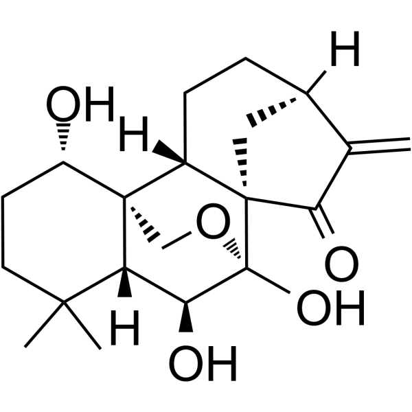 疏展香茶菜宁 A