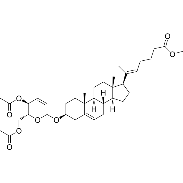 CU06-1004