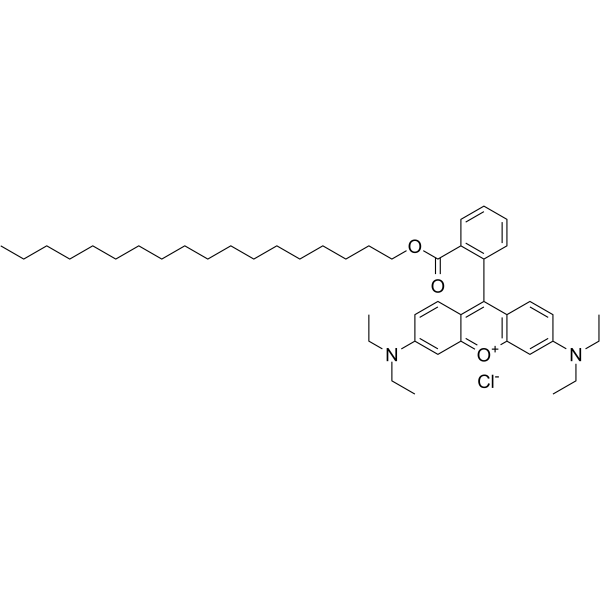 十八基罗丹明B氯化物