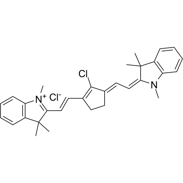 IR-797氯化物