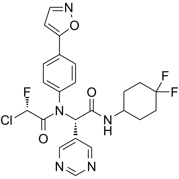 INSCoV-614(1B)