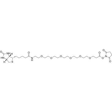 Biotin-PEG6-NHS ester