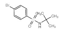 4-溴-N-(叔丁基)苯磺酰胺