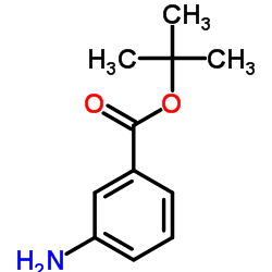 3-氨基苯甲酸叔丁酯