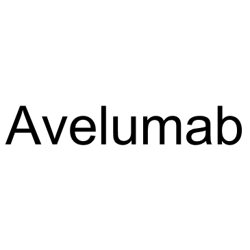 Avelumab