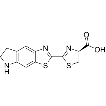 CycLuc1