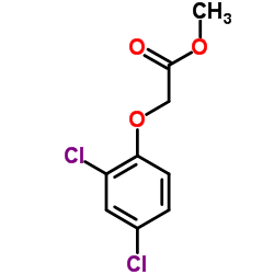 2,4-滴酸甲基酯