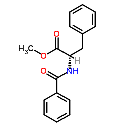 N-苯甲酰-L-苯丙氨酸