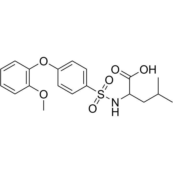 N-[4-(2-甲氧基苯氧基)苯基磺酰基]-DL-亮氨酸