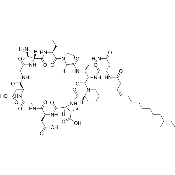 Friulimicin D