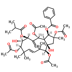 麻风树碱 4