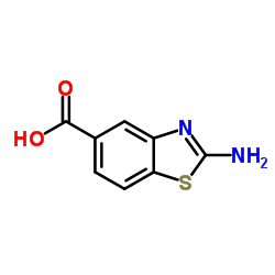 2-氨基-5-苯并噻唑羧酸