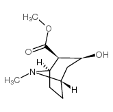 芽子碱甲酯