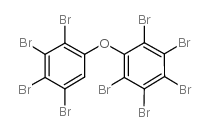 2,2,3,3,4,4,5,5,6-九溴联苯