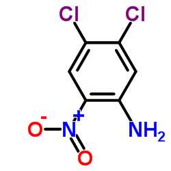 4,5-二氯-2-硝基苯胺
