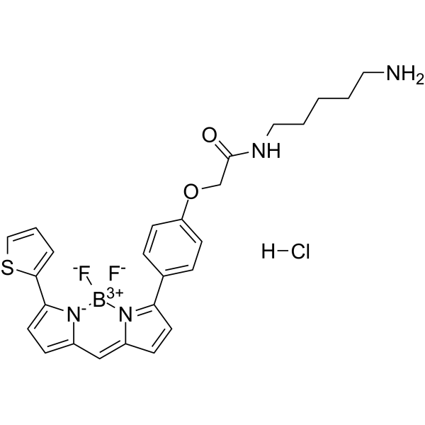 BODIPY TR Cadaverine