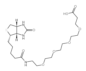 15-[D-(+)-生物素氨基]-4,7,10,13-四氧杂十五烷酸