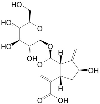 栀子新苷