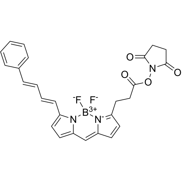 BODIPY-581/591 NHS ester