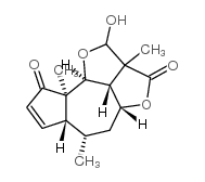 團菊素