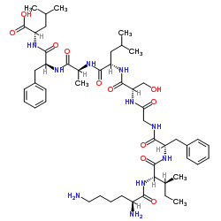 Nelipepimut-S