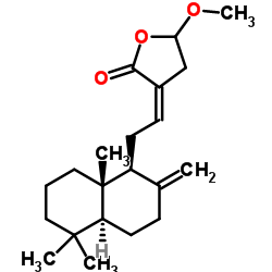 二羟丙茶碱D甲醚