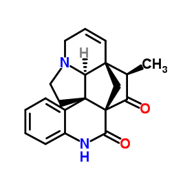 门洛斯坎刀尼