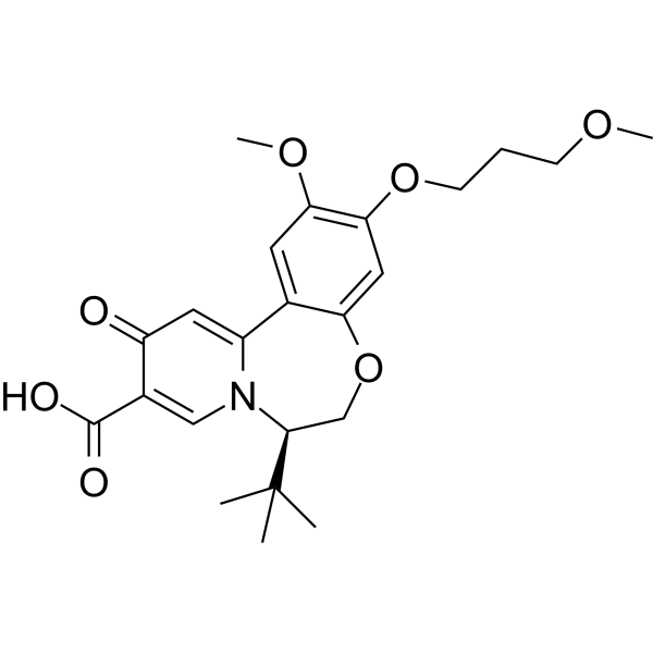 GST-HG131