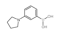 3-(1-吡咯烷基)苯基硼酸