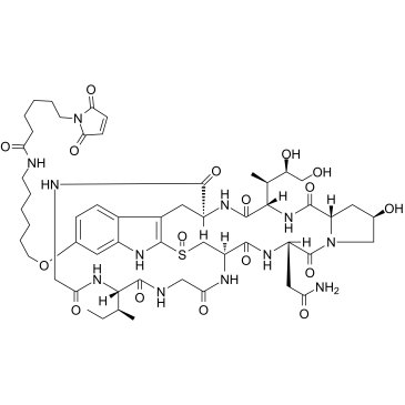 Mal-C6-α-Amanitin