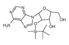 2'-O-t-Butyldimethylsilyl adenosine