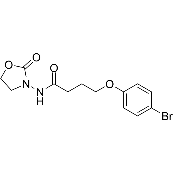 YXL-13