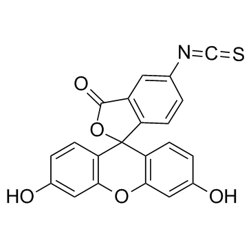 异硫氰酸荧光素酯