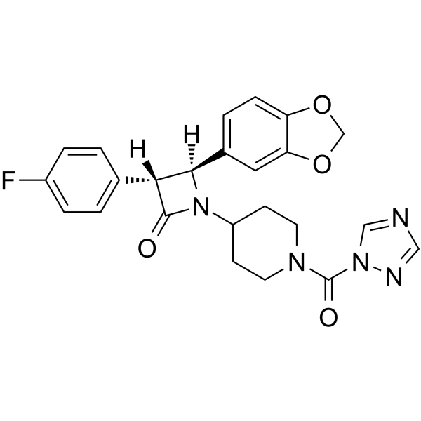 NF 1819