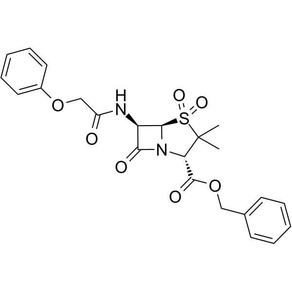 SARS-CoV-2-IN-21