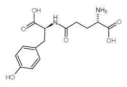 Gamma-谷氨酰-酪氨酸