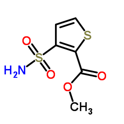 3-(氨基磺酰基)噻吩-2-羧酸甲酯