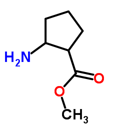 2-氨基-1-环戊烷-1-羧酸甲酯