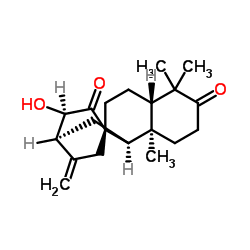 ENT-(13S)-13-羟基阿替生-16-烯-3,14-二酮