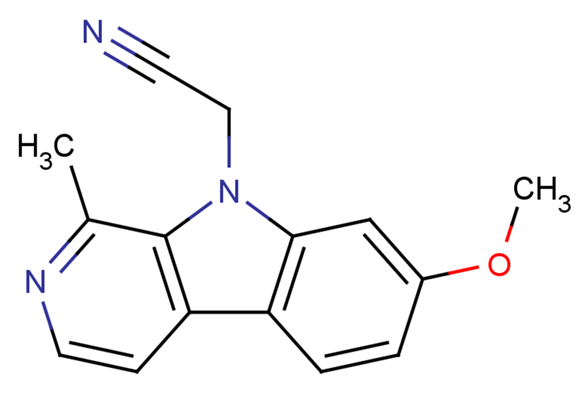 Annh31