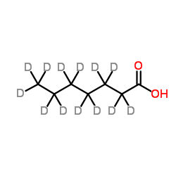 庚酸-D13