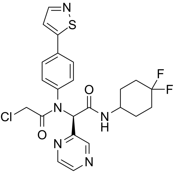 INSCoV-601I(1)