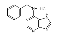 6-苄氨基嘌呤 盐酸盐