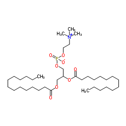 二肉豆蔻酰磷脂酰胆碱(DMPC)