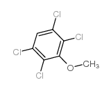 2,3,5,6-四氯茴香醚